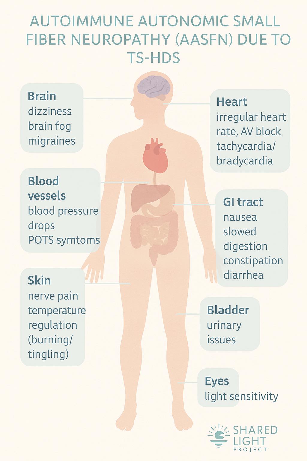 Understanding Autoimmune Autonomic Small Fiber Neuropathy